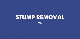 Stump Removal | Drummoyne Tree Surgeons drummoyne